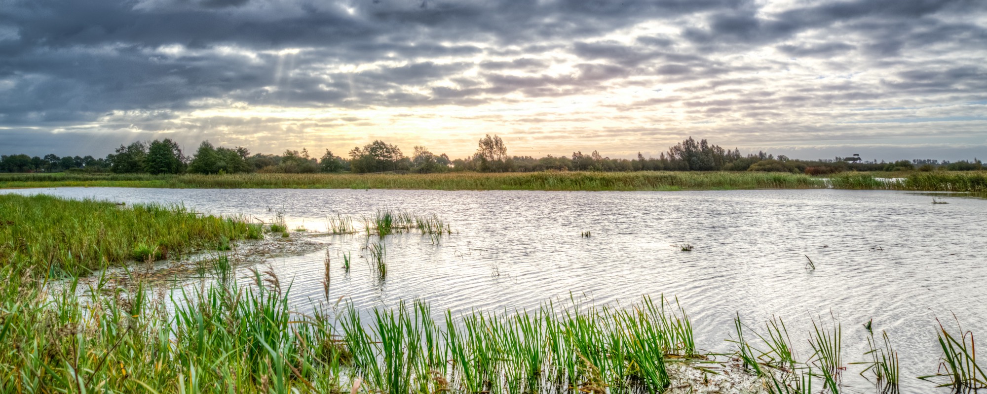 Marsh grasses and open water under a cloudy sky, with the sun breaking through
